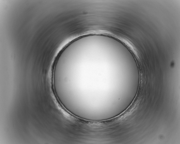 X0000099941046200805231016