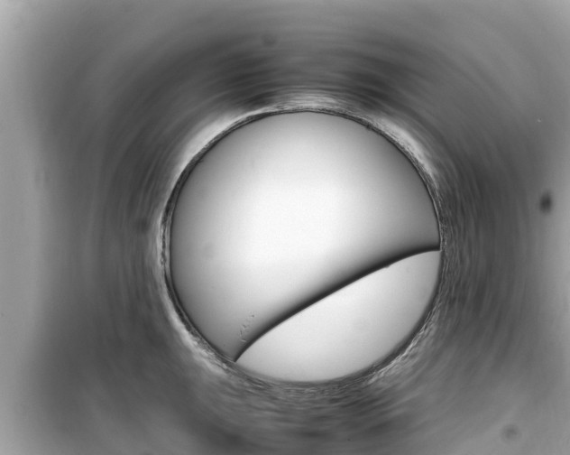 X0000099941047200805231016