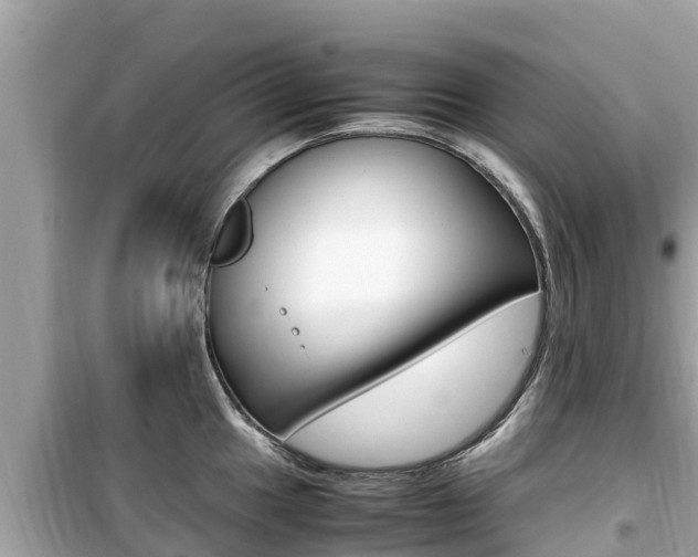 X0000099941049200805231017