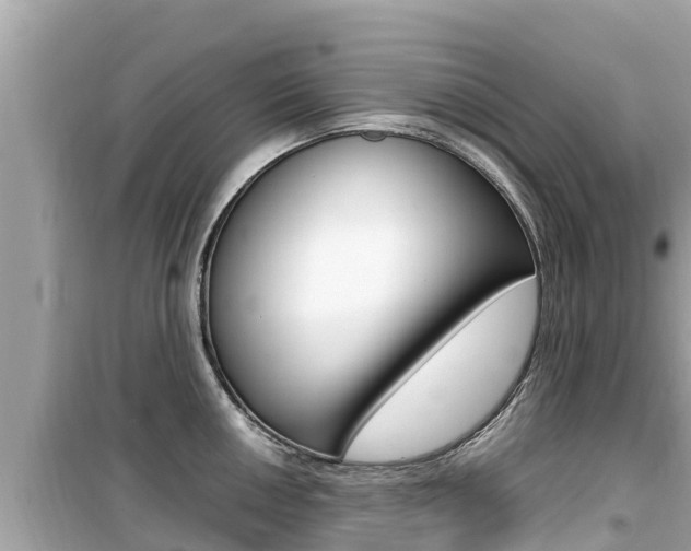 X0000099941050200805231017