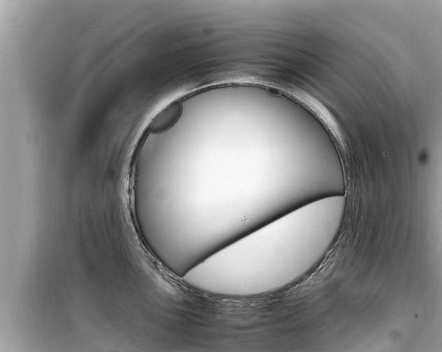 X0000099941051200805231017