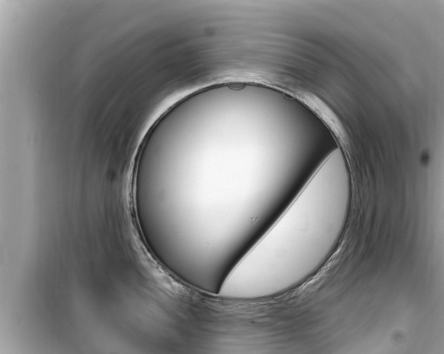 X0000099941052200805231017