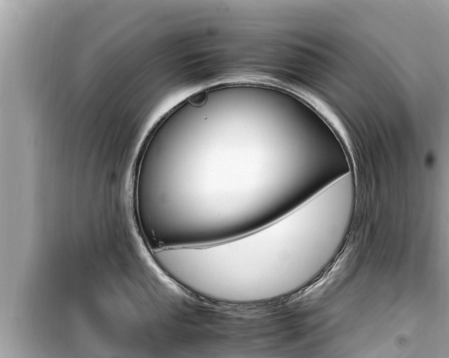 X0000099941053200805231017