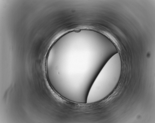 X0000099941055200805231017