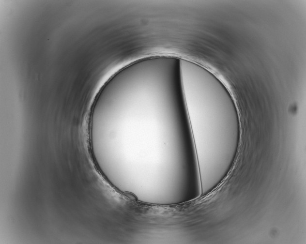 X0000099941056200805231017