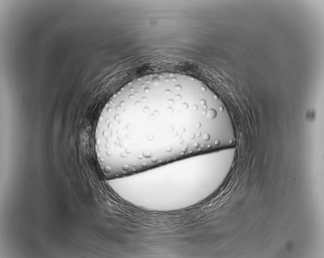 X0000099941059200805231016