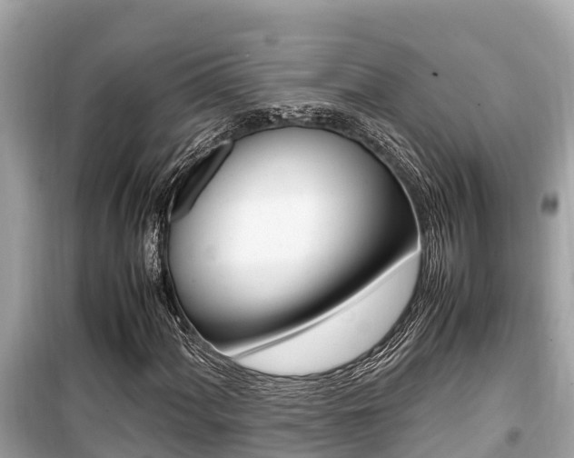 X0000099941060200805231016