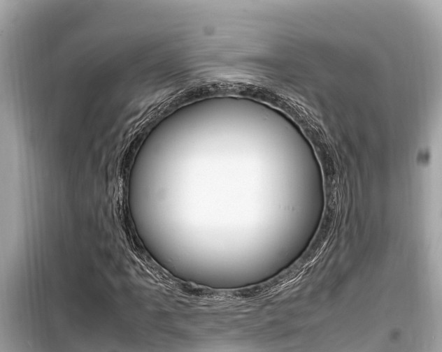 X0000099941061200805231016