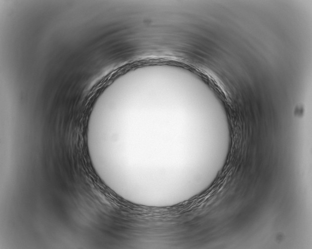 X0000099941064200805231016