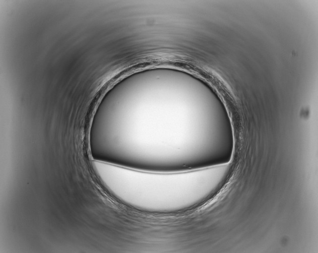 X0000099941065200805231016
