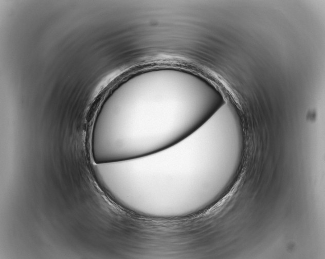 X0000099941066200805231016