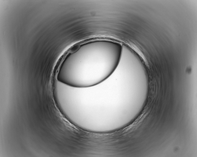 X0000099941068200805231016