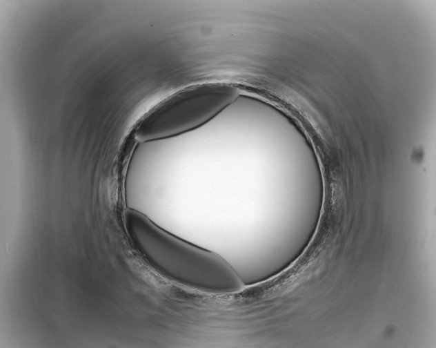 X0000099941069200805231016