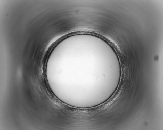 X0000099941070200805231016