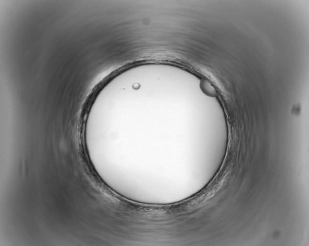 X0000099941071200805231016