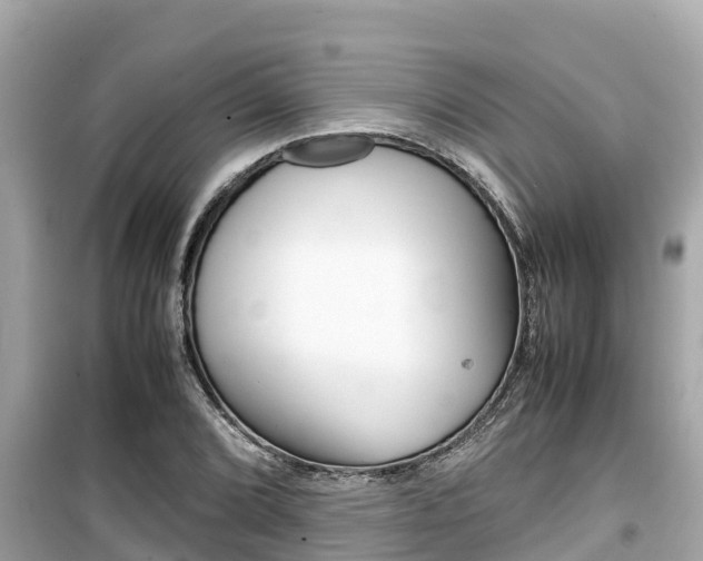 X0000099941072200805231016