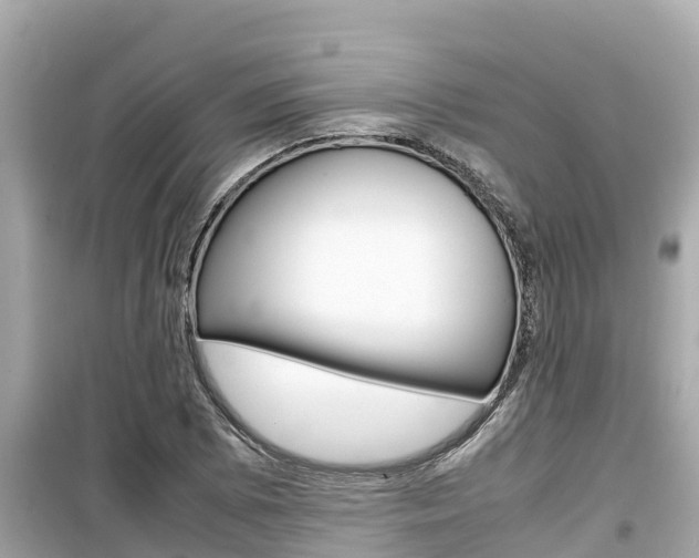 X0000099941073200805231016