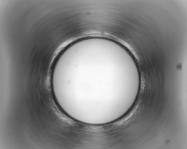 X0000099941074200805231016