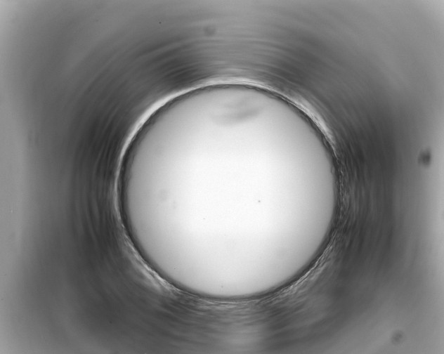 X0000099941076200805231016