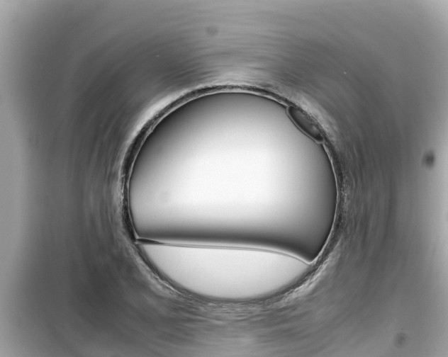 X0000099941077200805231016