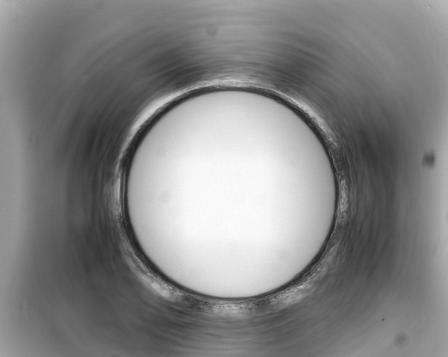X0000099941078200805231016
