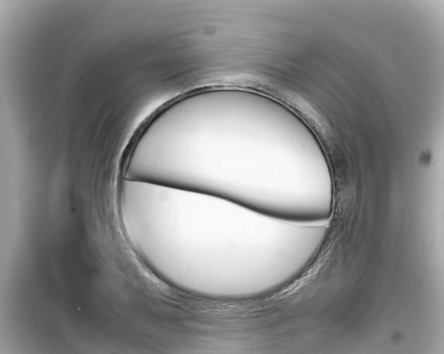 X0000099941079200805231016