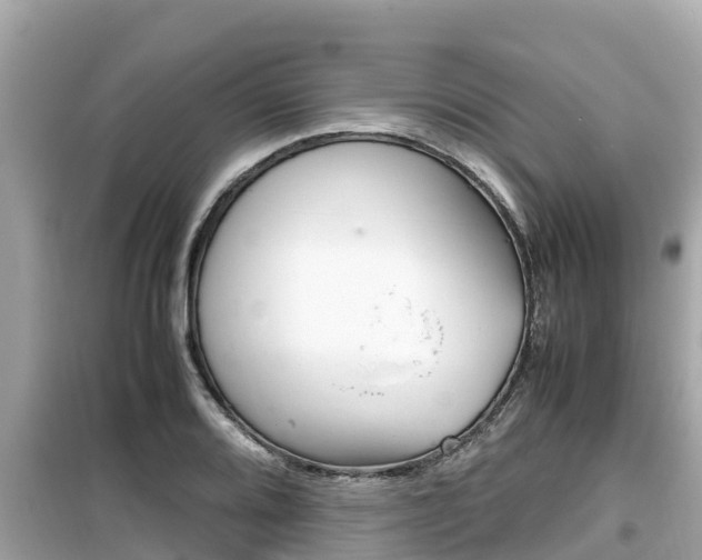 X0000099941080200805231016