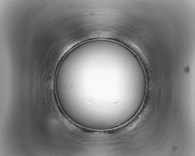 X0000099941081200805231016