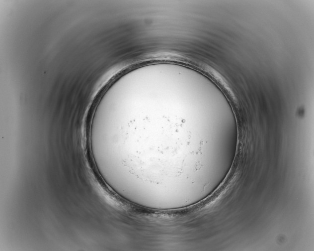 X0000099941082200805231016