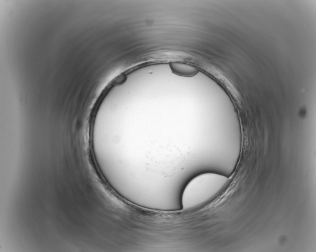 X0000099941083200805231016