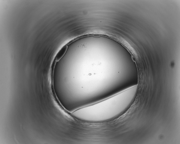 X0000099941084200805231016
