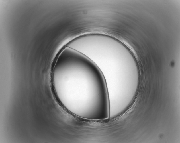 X0000099941085200805231016