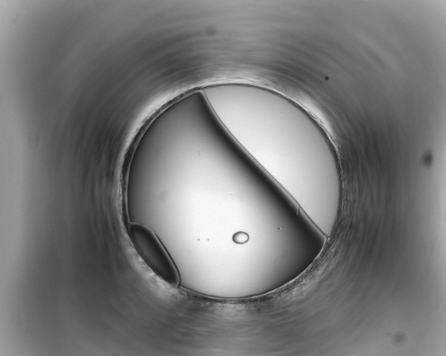 X0000099941088200805231016