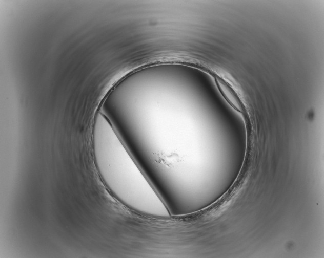 X0000099941089200805231016