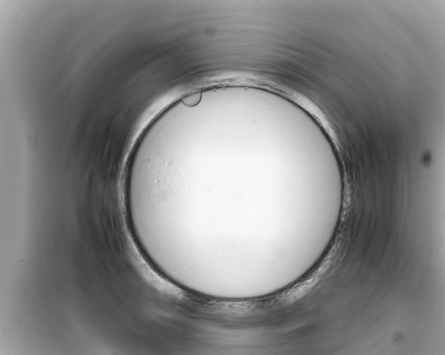 X0000099941090200805231016