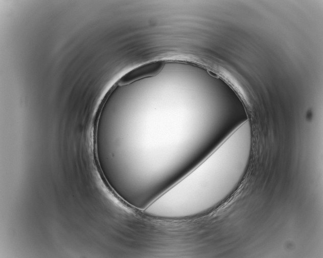 X0000099941092200805231016