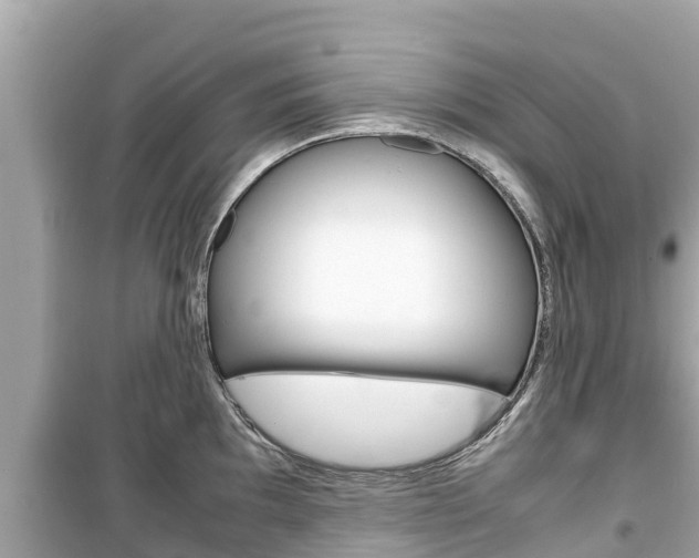 X0000099941097200805231015
