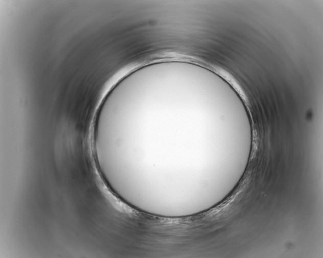 X0000099941098200805231015