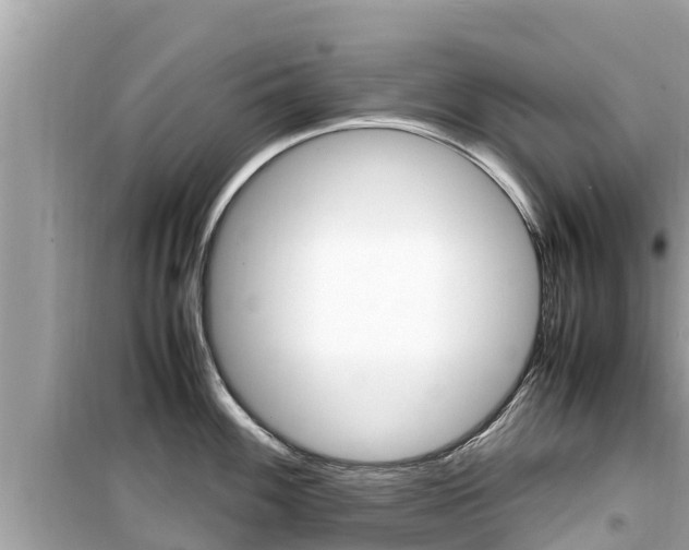 X0000099941100200805231015