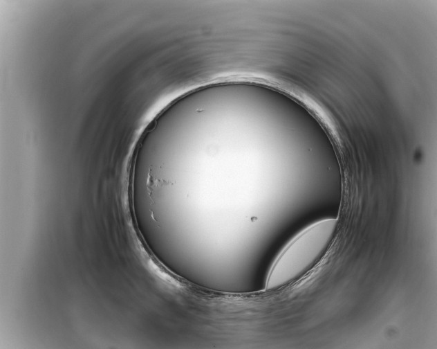 X0000099941102200805231015