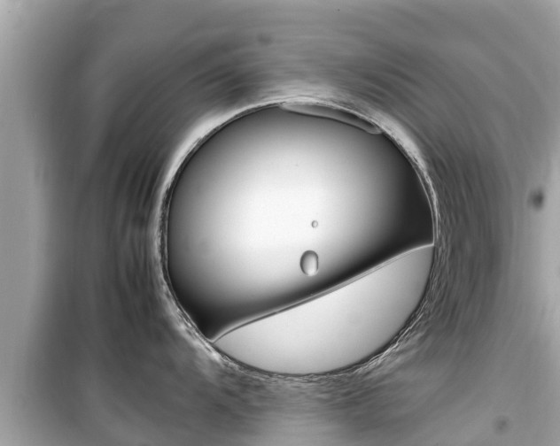 X0000099941104200805231015