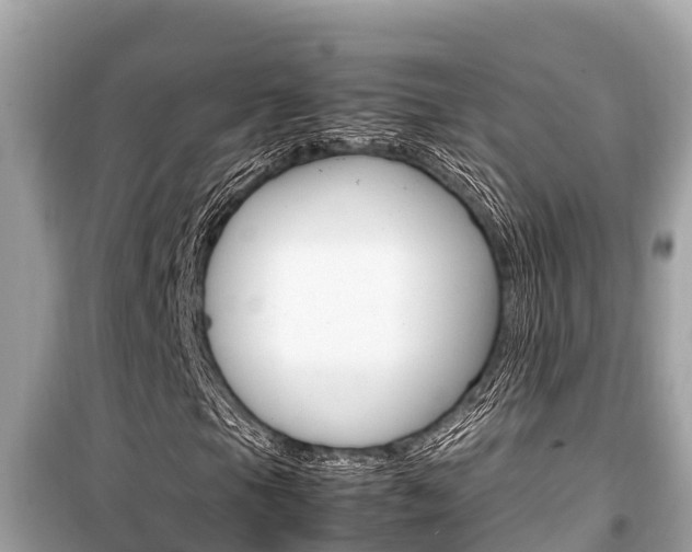 X0000099941105200805231015