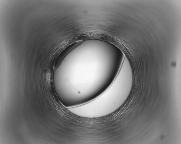 X0000099941108200805231015