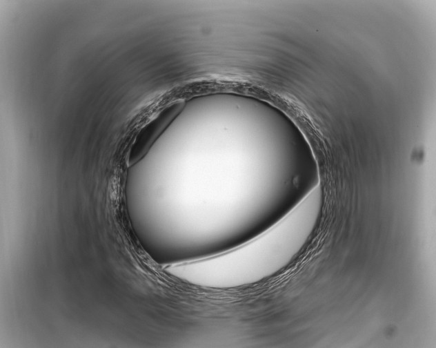 X0000099941110200805231015