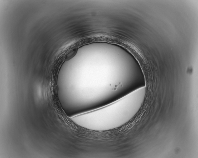 X0000099941111200805231015