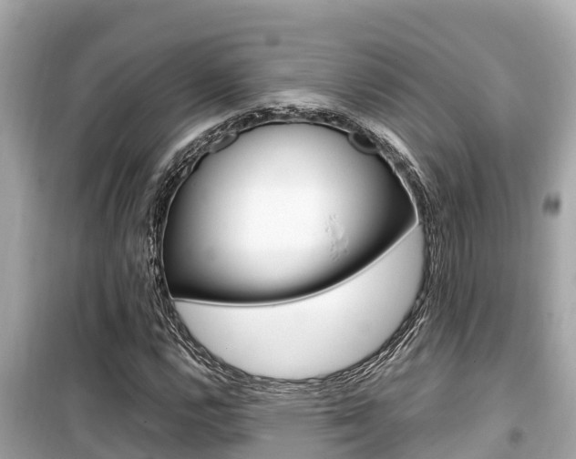 X0000099941112200805231015