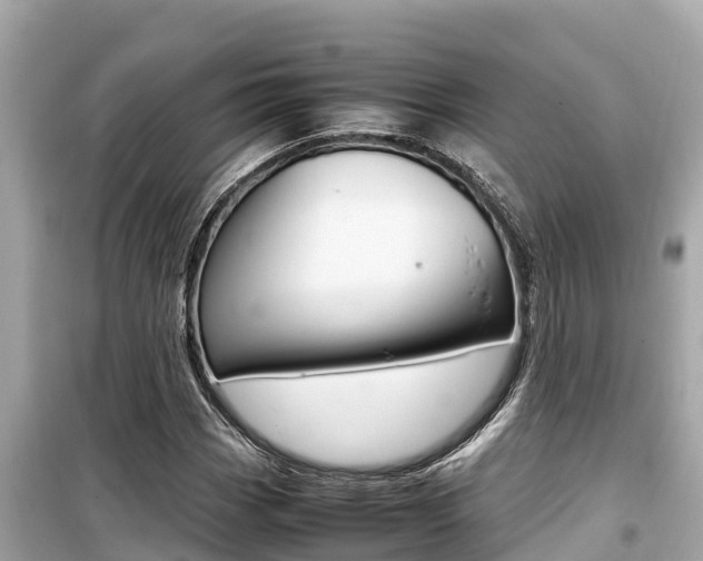 X0000099941113200805231015