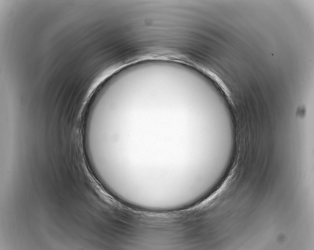 X0000099941114200805231015
