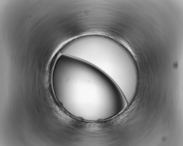 X0000099941116200805231015