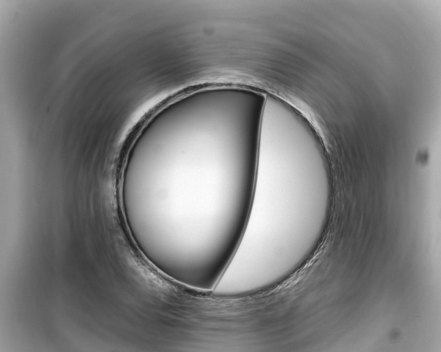 X0000099941120200805231015